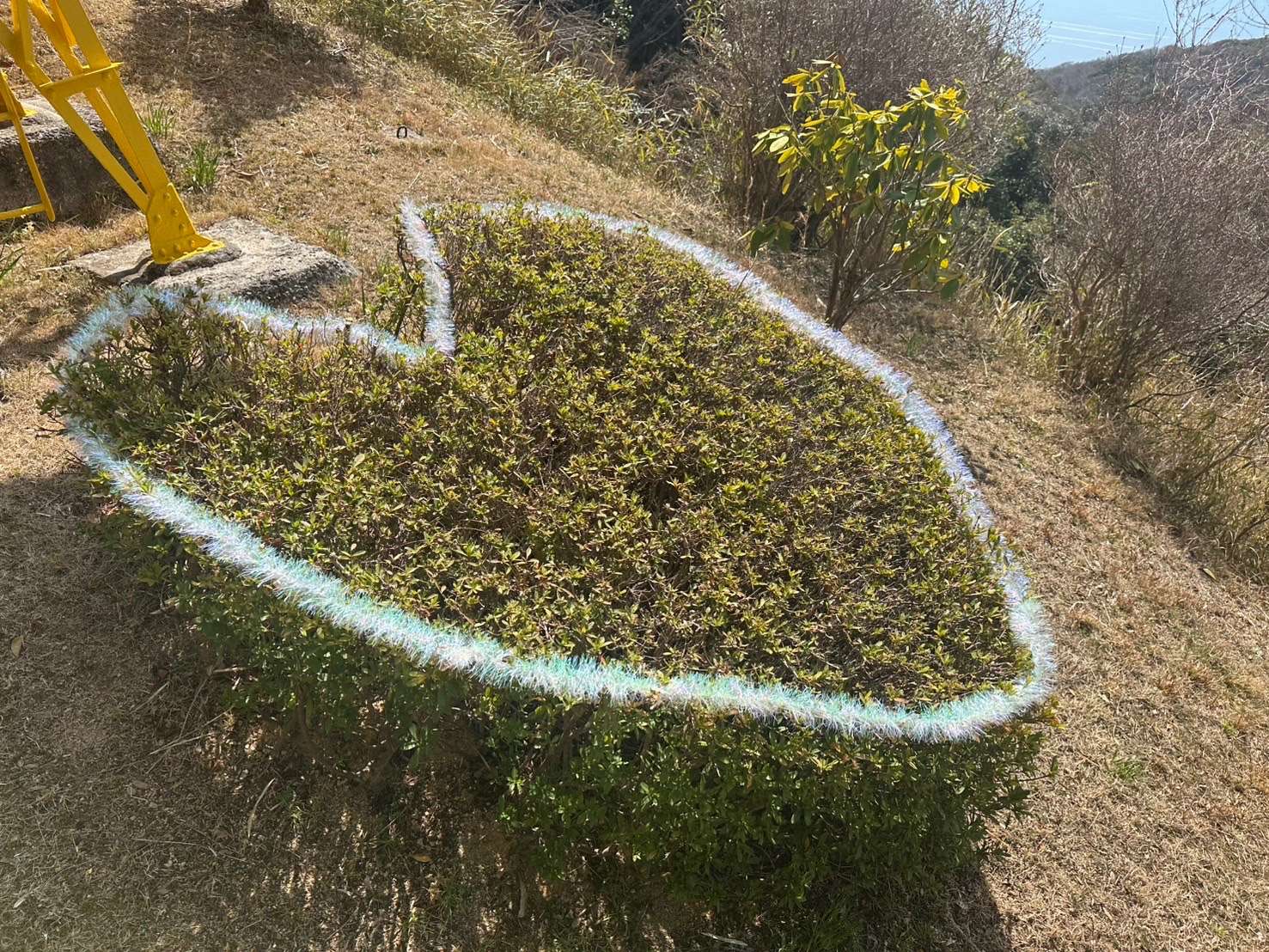 須磨浦山上遊園へ行って来ました